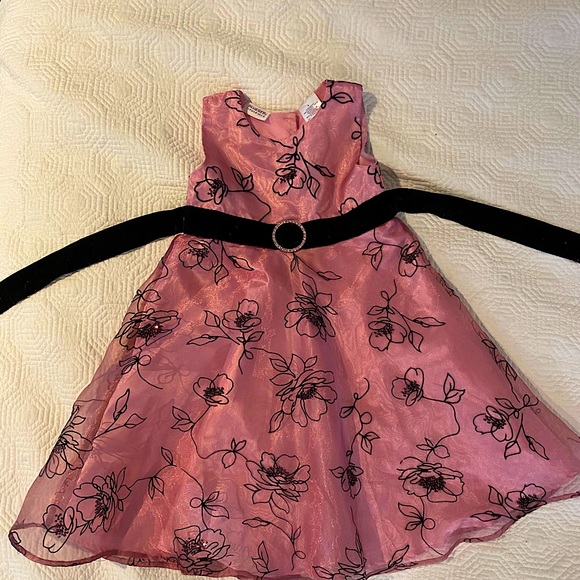 Blueberi boulevard pink floral dress - Picture 1 of 6